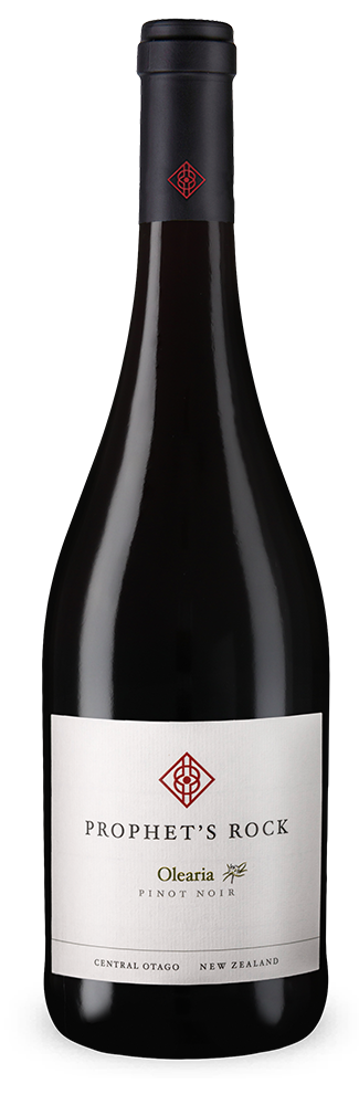 Olearia Pinot noir 2023