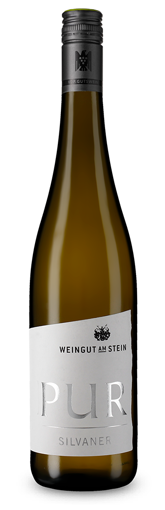 Sylvaner Pur sec 2025
