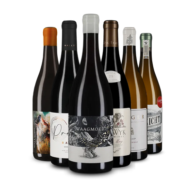 Offre du Cap des bons vins : à la découverte de l’Afrique du Sud !