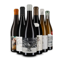 Offre du Cap des bons vins : à la découverte de l’Afrique du Sud !