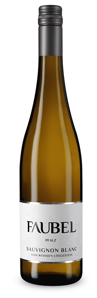 Sauvignon blanc vom weißen Lössgestein sec 2025
