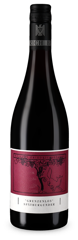 Pinot noir Grenzenlos sec 2022