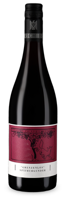 Pinot noir Grenzenlos sec 2022