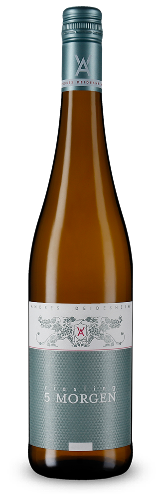 Riesling 5 Morgen sec 2025