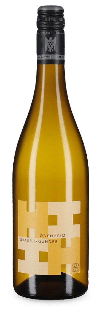 Pinot gris Odenheim sec 2025