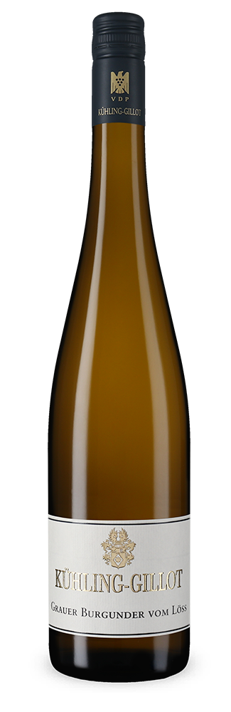 Pinot gris vom Löss sec 2025