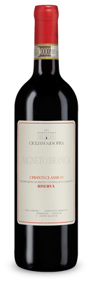 Chianti Classico Riserva Vigneto Branca 2023