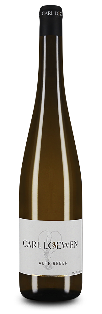 Alte Reben Riesling sec 2025