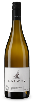 Pinot gris vom Löss sec 2025