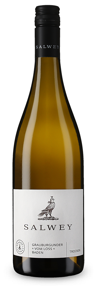 Pinot gris vom Löss sec 2025