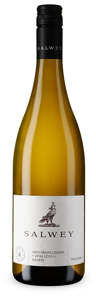 Pinot blanc vom Löss sec 2025