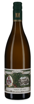 Pinot blanc sec 2025