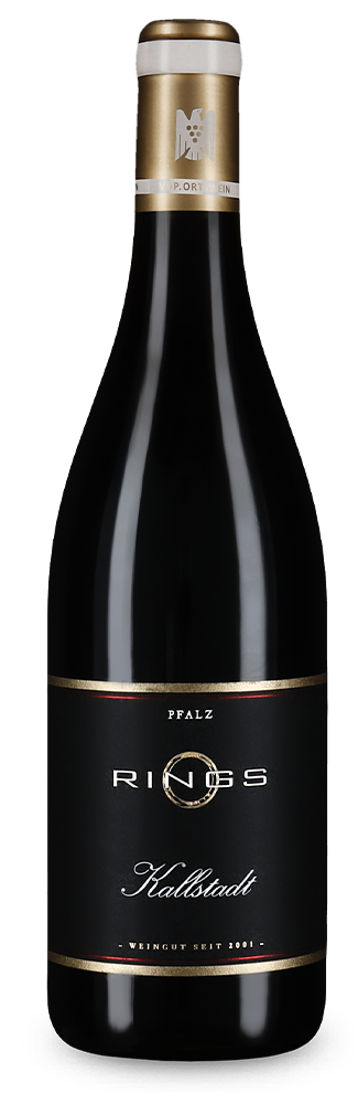 Pinot noir Kallstadt sec 2024