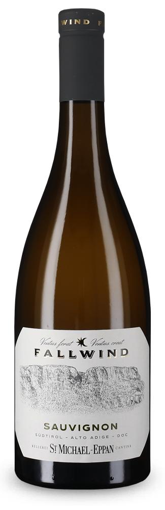 Fallwind Sauvignon blanc 2025
