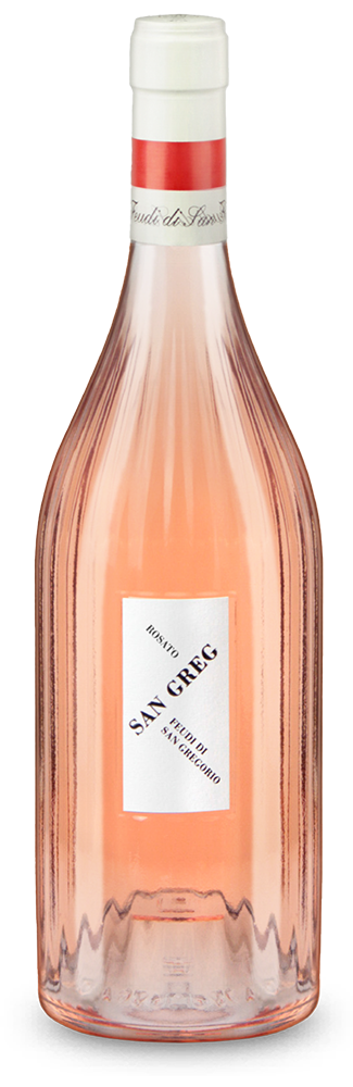 San Greg Campania Rosato 2025