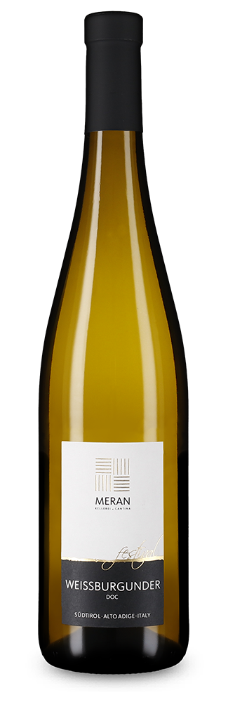 Pinot blanc Festival 2025
